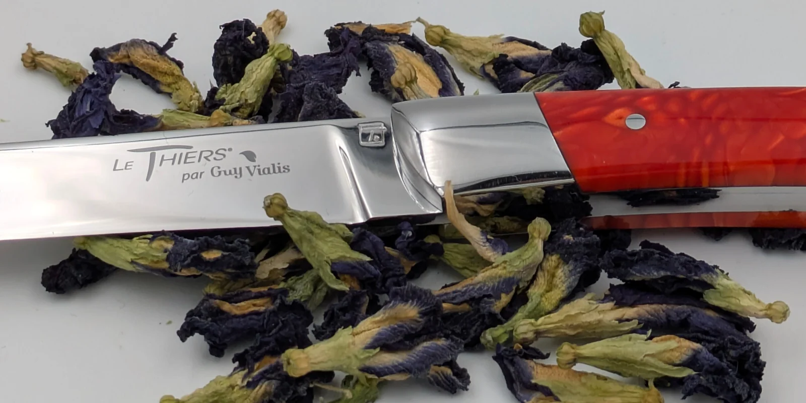 Guy VialisによるLe Thiers®ナイフ