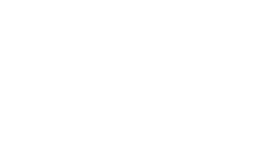 Maison Château LAGUIOLE